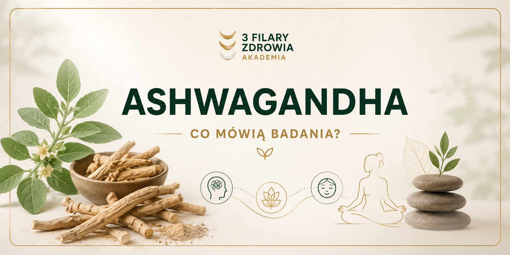 Ashwagandha – działanie, dawkowanie, witanolidy i bezpieczeństwo. Co mówią badania?