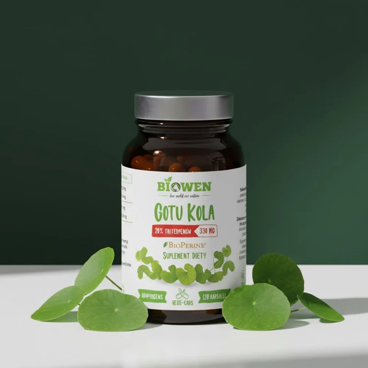 Gotu Kola Biowen 120 kaps. – 330 mg, 20% Triterpenów — miniatura 2