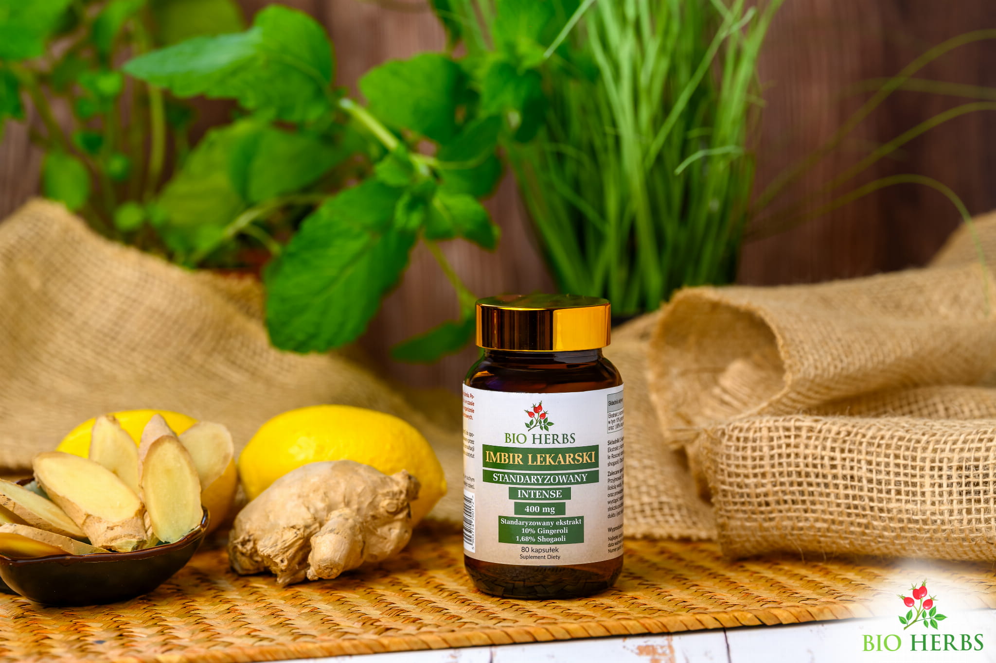 Imbir Lekarski Bio-Herbs - Ekstrakt standaryzowany na 10% gingeroli - 80 kapsułek — miniatura 2