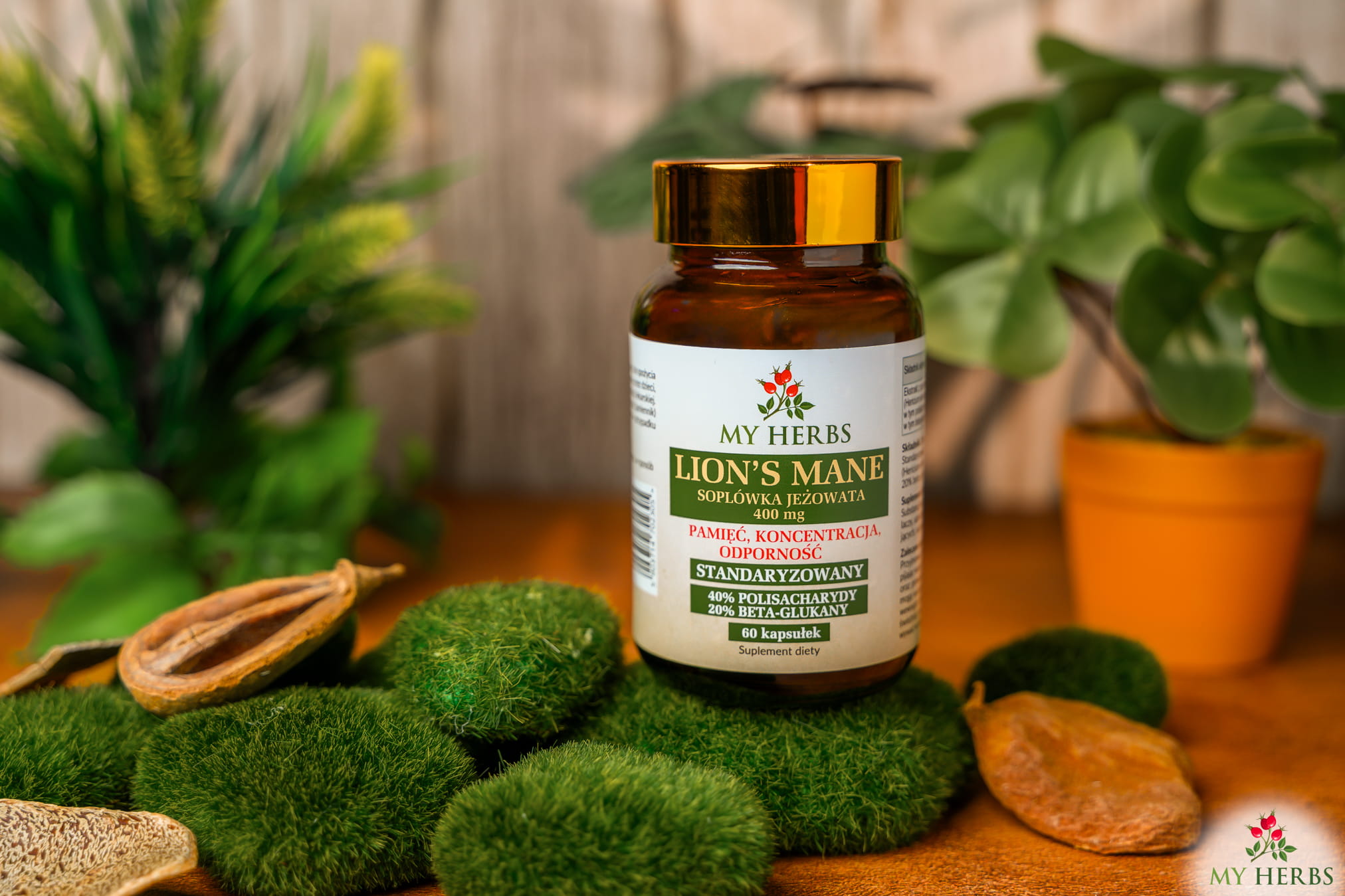 Lion's Mane (Soplówka Jeżowata) My Herbs - Standaryzowany Ekstrakt dla Mózgu i Nerwów | 60 kapsułek  — miniatura 2