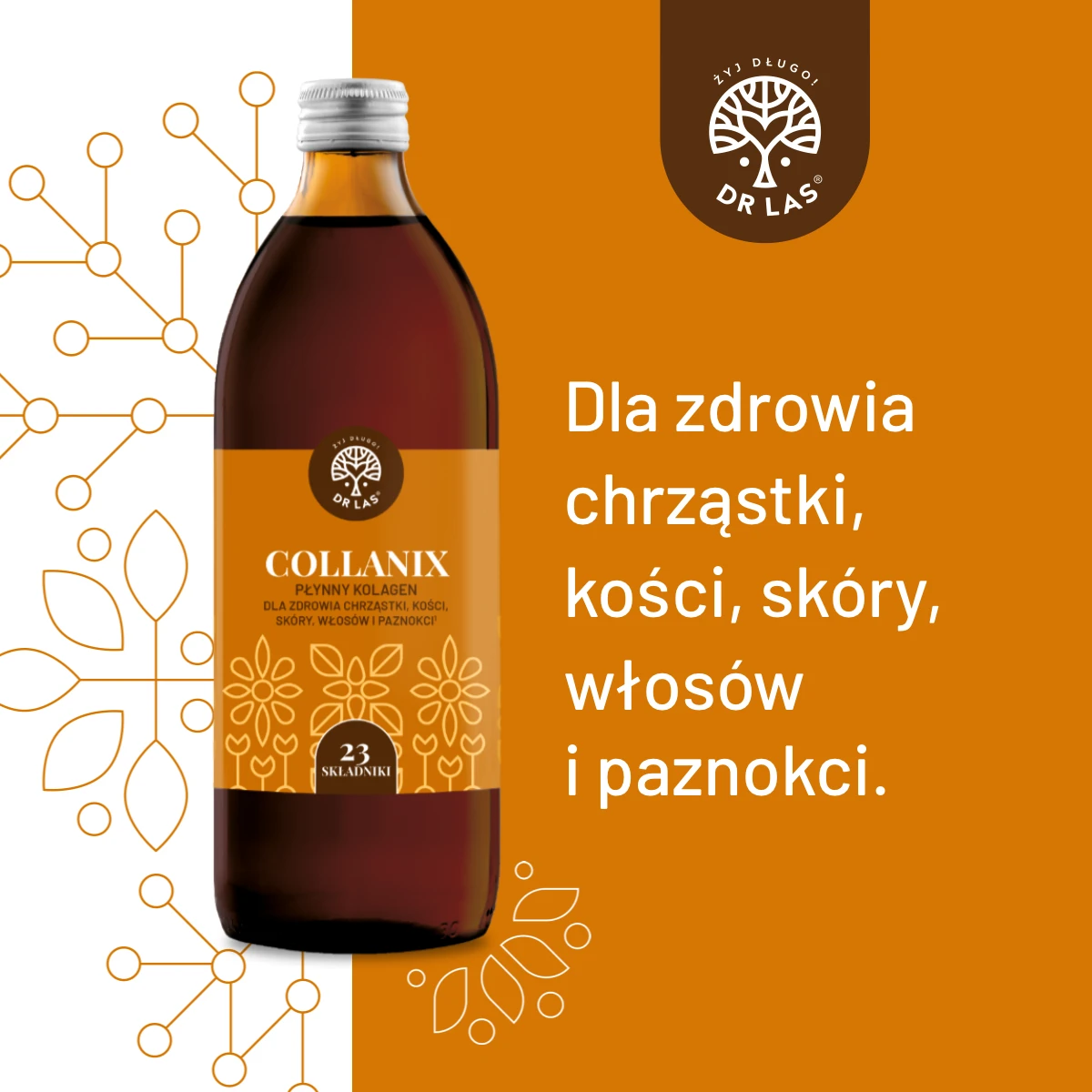 Dr Las COLLANIX® 500 ml – płynny kolagen Verisol® na skórę, włosy, paznokcie, chrząstkę i kości — miniatura 2