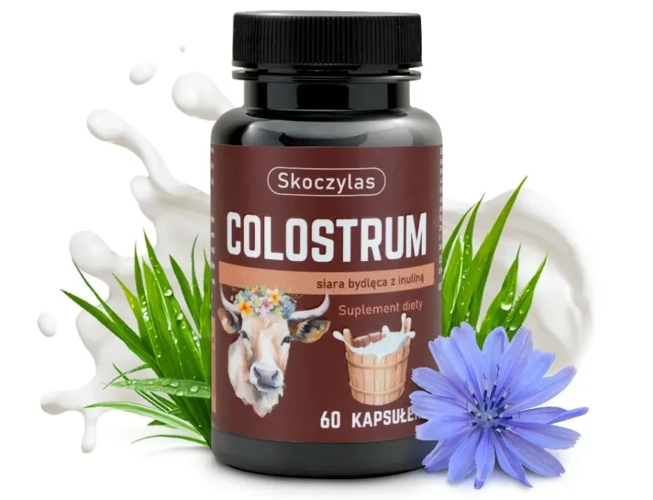 Colostrum Skoczylas 60 kapsułek – Siara Bydlęca Standaryzowana na 30% IgG, Inulina, Potężna Odporność i Uszczelnienie Bariery Jelitowej — miniatura 2