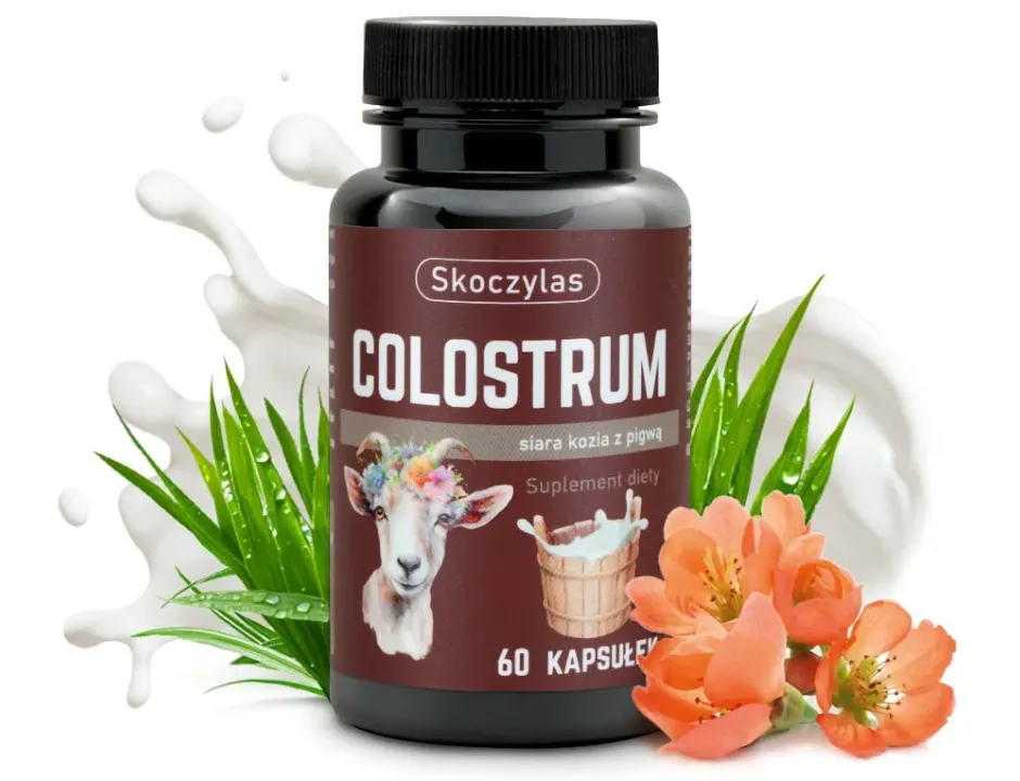 Colostrum Skoczylas 60 kapsułek – Hipoalergiczna Siara Kozia z Pigwą, Wysokie Stężenie IgG, Uszczelnianie Jelit i Ekstremalna Odporność — miniatura 2