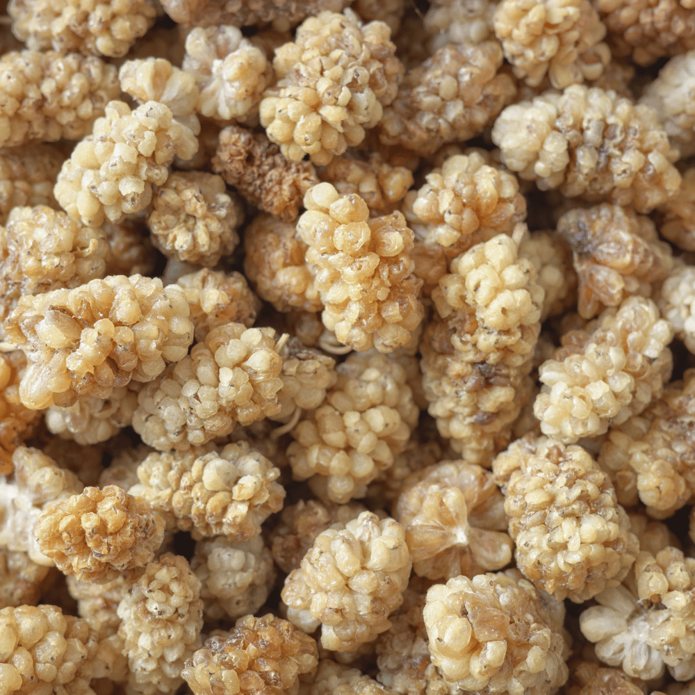 Glukonormin Skoczylas 60 kapsułek – Morwa Biała, Kozieradka, Cynamonowiec, Stabilny Poziom Cukru, Koniec z Napadami Głodu i Wsparcie Metabolizmu — miniatura 4