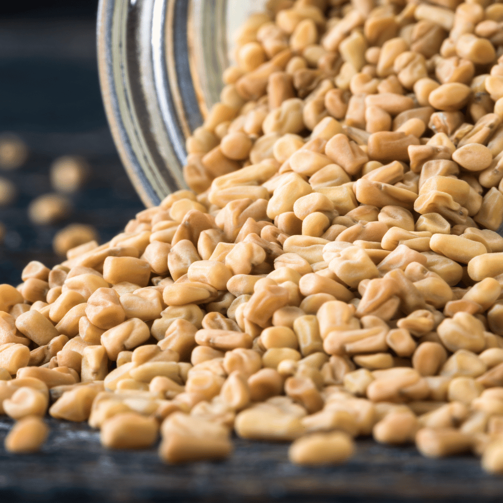 Glukonormin Skoczylas 60 kapsułek – Morwa Biała, Kozieradka, Cynamonowiec, Stabilny Poziom Cukru, Koniec z Napadami Głodu i Wsparcie Metabolizmu — miniatura 3