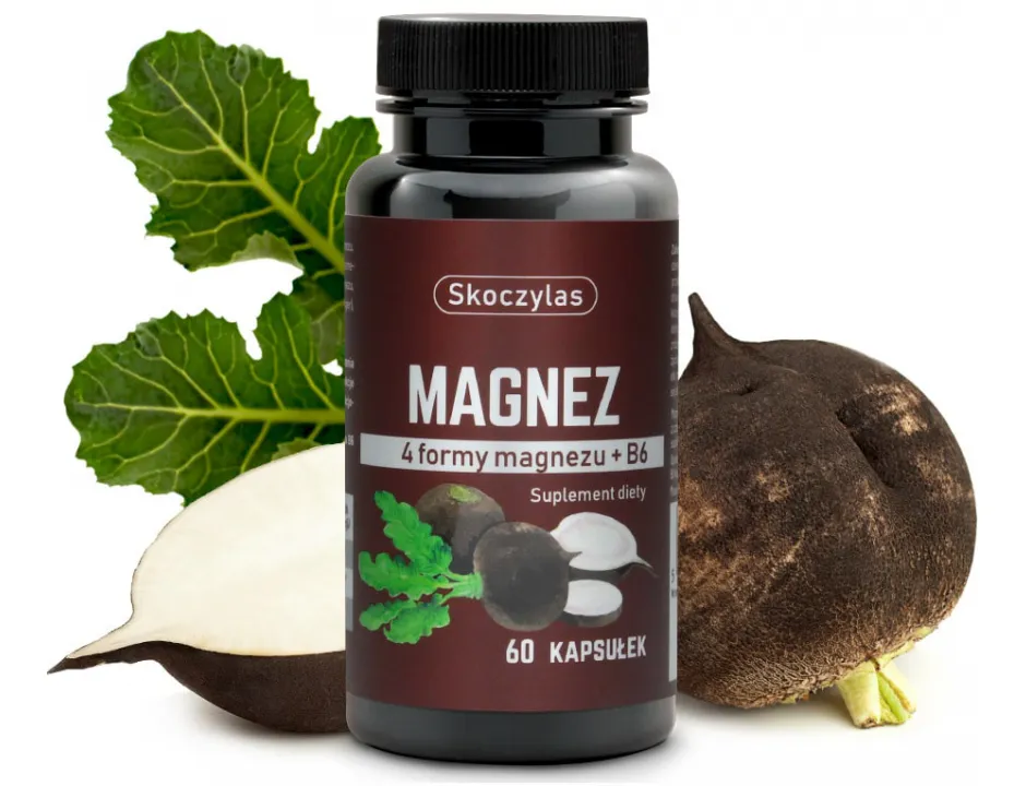 Magnez 4 Formy + Witamina B6 i Czarna Rzepa Skoczylas 60 kapsułek – Maksymalna Biodostępność, Układ Nerwowy, Koniec ze Skurczami i Redukcja Zmęczenia — miniatura 2