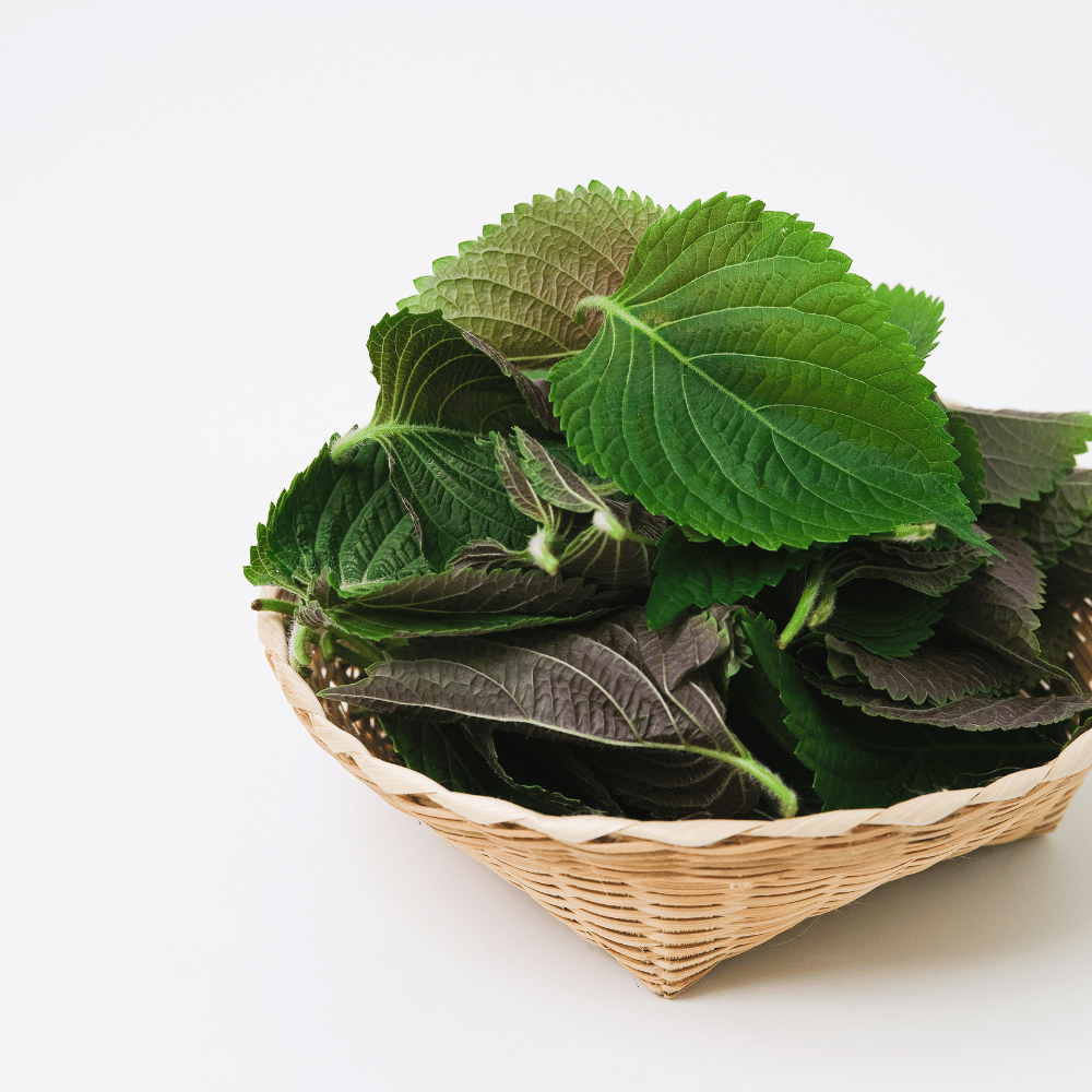 Na Nos Skoczylas 60 kapsułek – Pachnotka Zwyczajna (Perilla), Drożne Zatoki, Komfort Oddychania, Wsparcie w Alergii i Formuła Pure Clean Label — miniatura 3