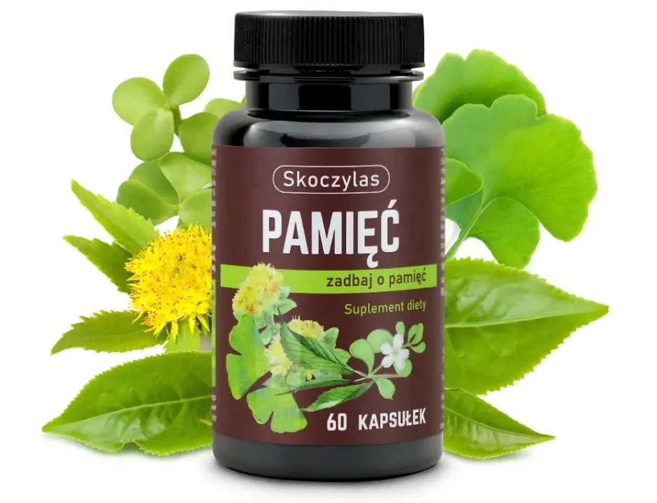 Pamięć Skoczylas 60 kapsułek – Miłorząb Japoński (Ginkgo Biloba), Bakopa (Brahmi), Różeniec Górski, Wybitna Koncentracja, Jasność Umysłu i Formuła Pure Clean Label — miniatura 2