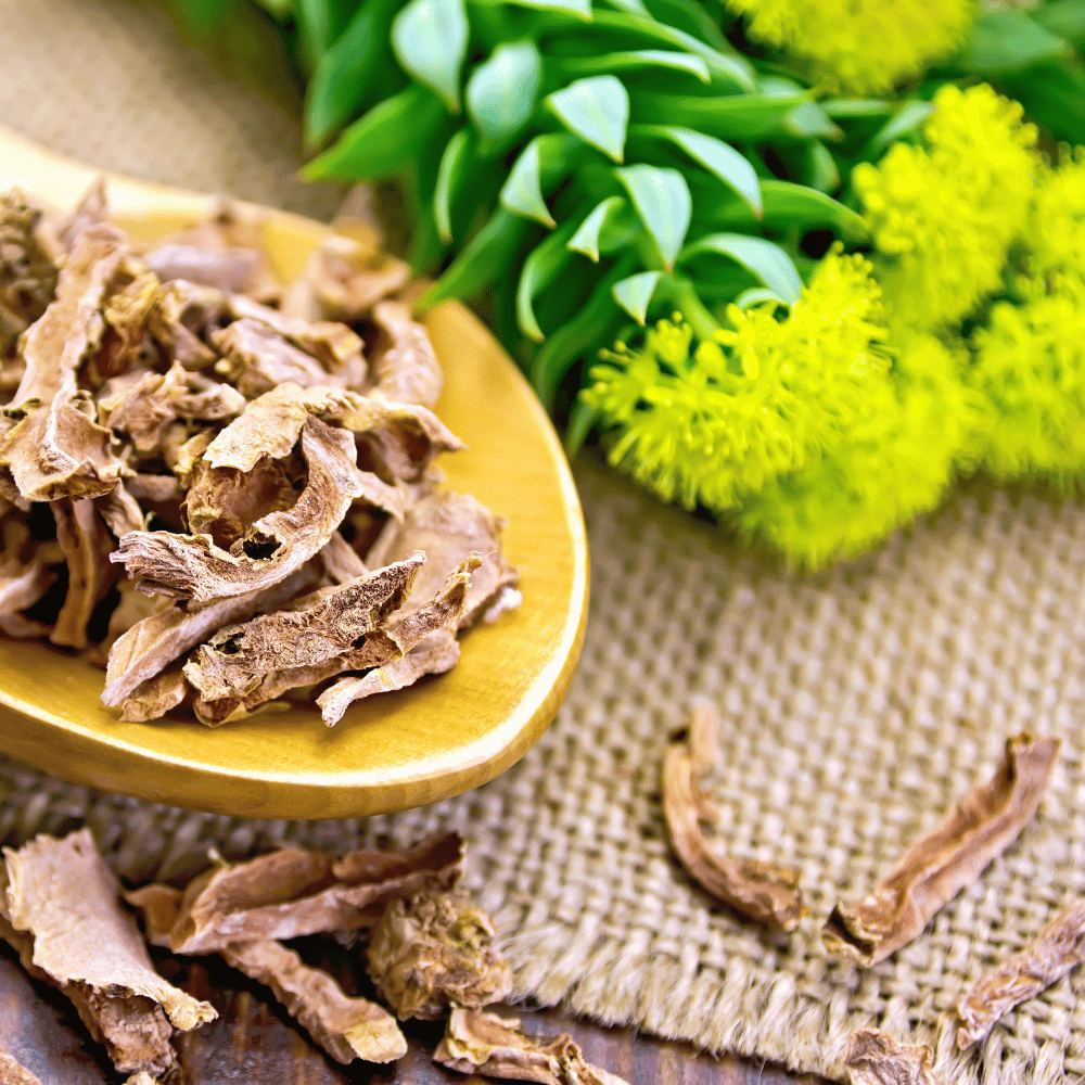 Pamięć Skoczylas 60 kapsułek – Miłorząb Japoński (Ginkgo Biloba), Bakopa (Brahmi), Różeniec Górski, Wybitna Koncentracja, Jasność Umysłu i Formuła Pure Clean Label — miniatura 3