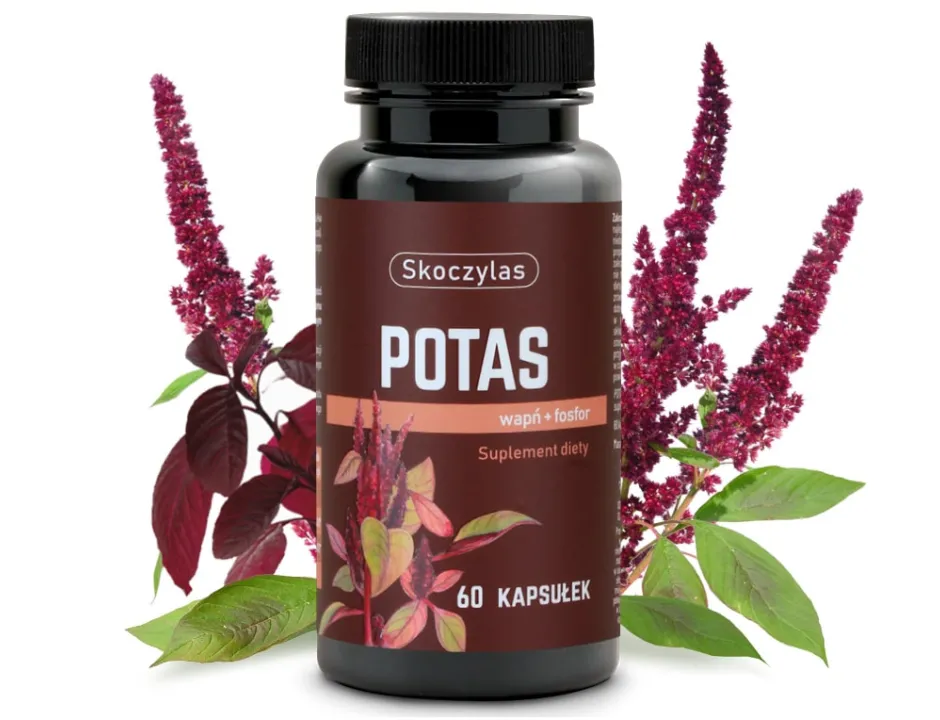 Potas + Wapń + Fosfor Skoczylas 60 kapsułek – Kompleks Trzech Minerałów, Równowaga Elektrolitowa, Mocne Kości, Prawidłowa Praca Mięśni i Formuła Pure Clean Label — miniatura 2