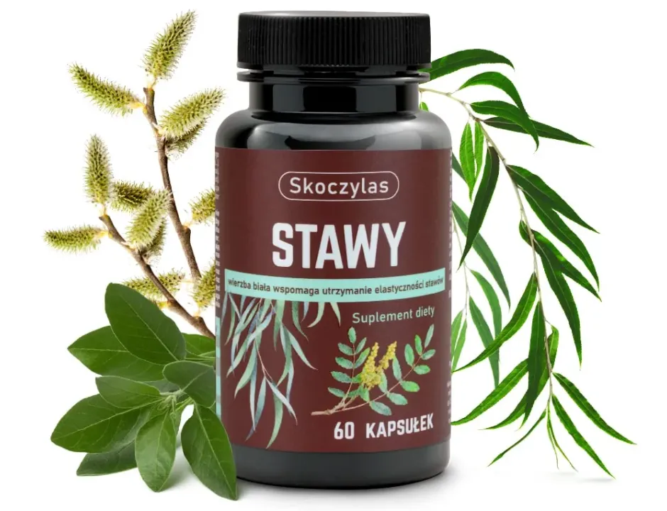 Stawy Skoczylas 60 kapsułek – Kadzidłowiec (Boswellia), Wierzba Biała, Ashwagandha, Sosna, Komfort Układu Ruchu, Sprawne Stawy i Formuła Pure Clean Label — miniatura 2