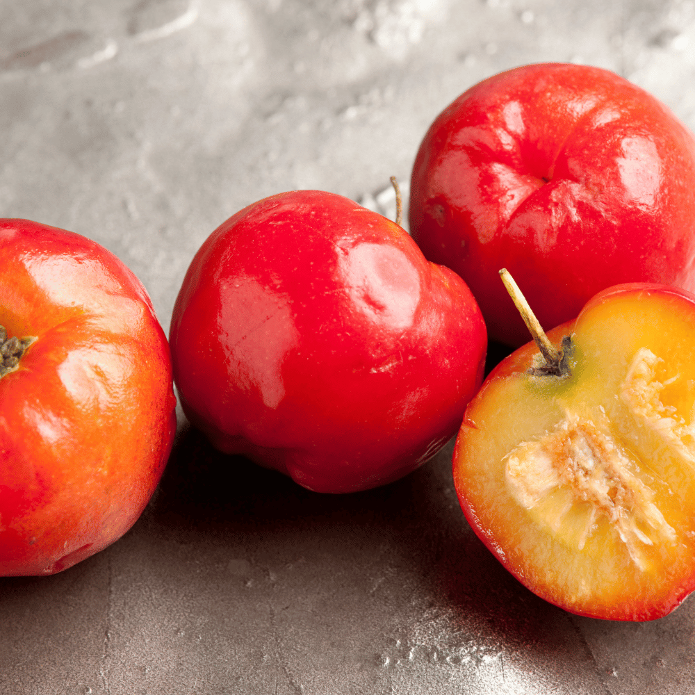 Witamina C Trio Skoczylas Dzika Róża Aronia Acerola na Odporność Kapsułki 60 szt. — miniatura 3