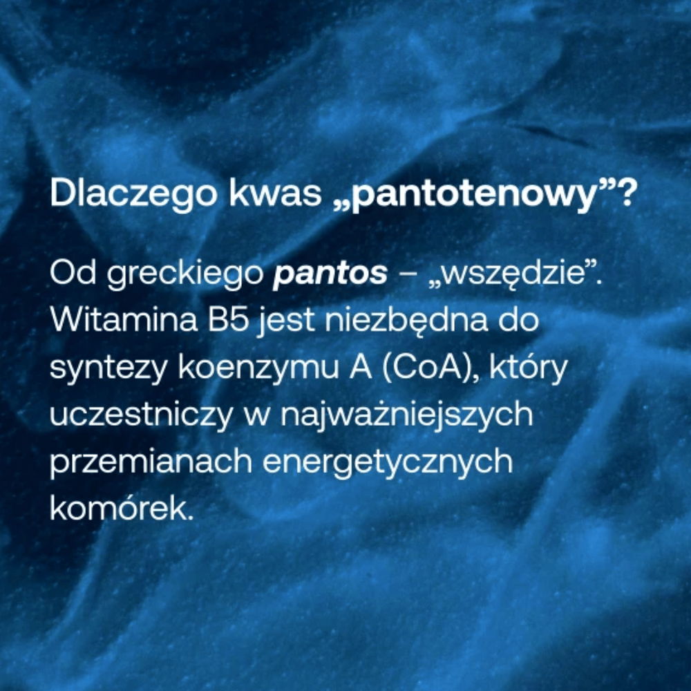 ForMeds Bicaps B5 Kwas pantotenowy 500 mg kapsułki – 60 kaps. — miniatura 4