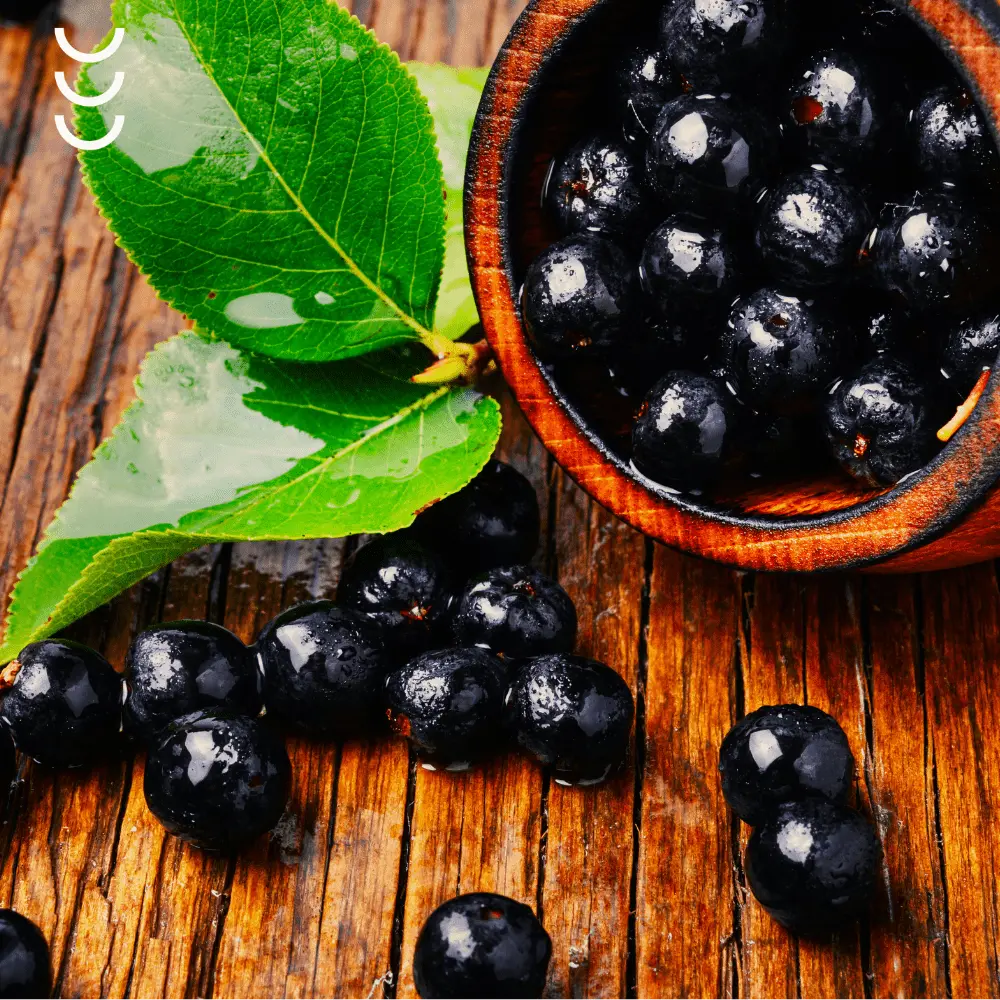 Błonnik z aronii z probiotykiem BioHerbs – dla zdrowia jelit i całego organizmu — miniatura 3