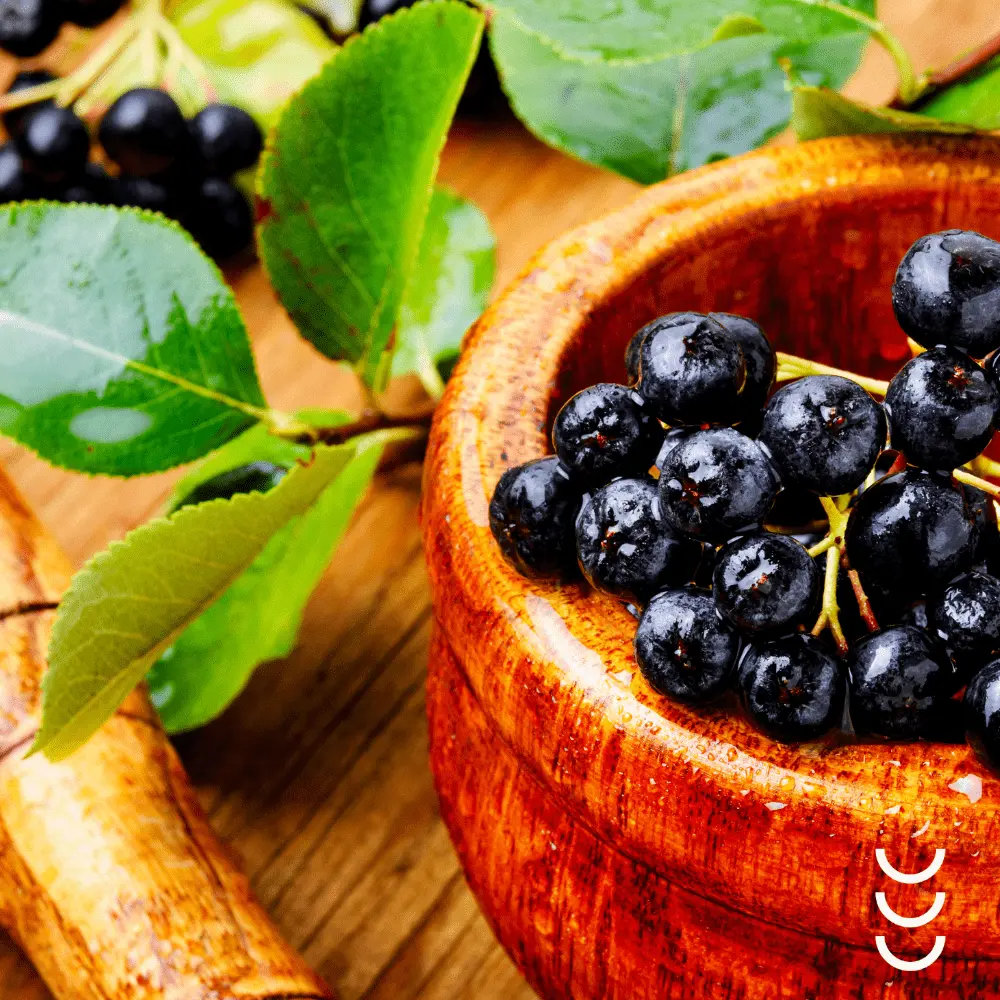 Błonnik z aronii z probiotykiem BioHerbs – dla zdrowia jelit i całego organizmu — miniatura 4