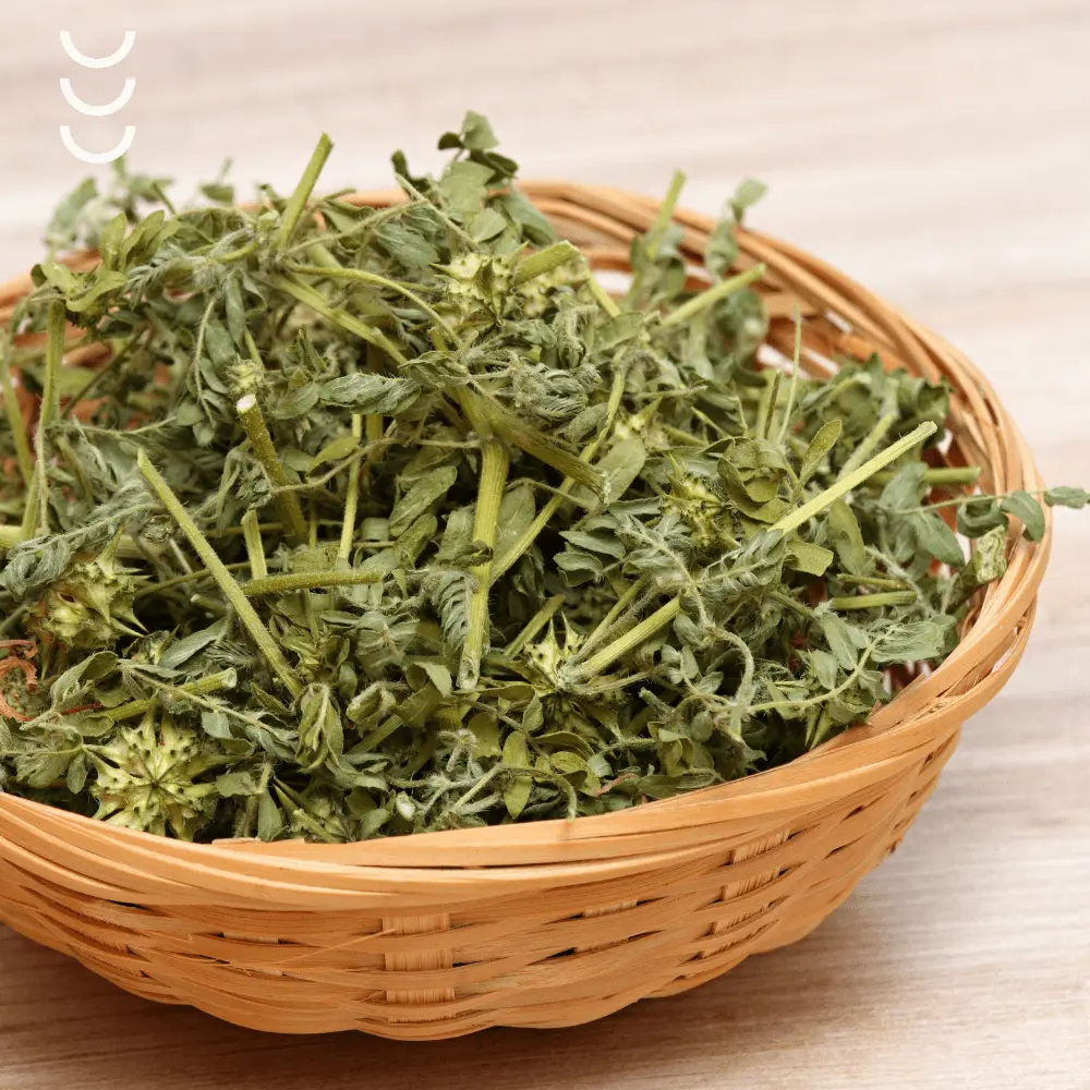 Buzdyganek Premium Bio Herbs - Moc natury dla zdrowia i witalności — miniatura 3