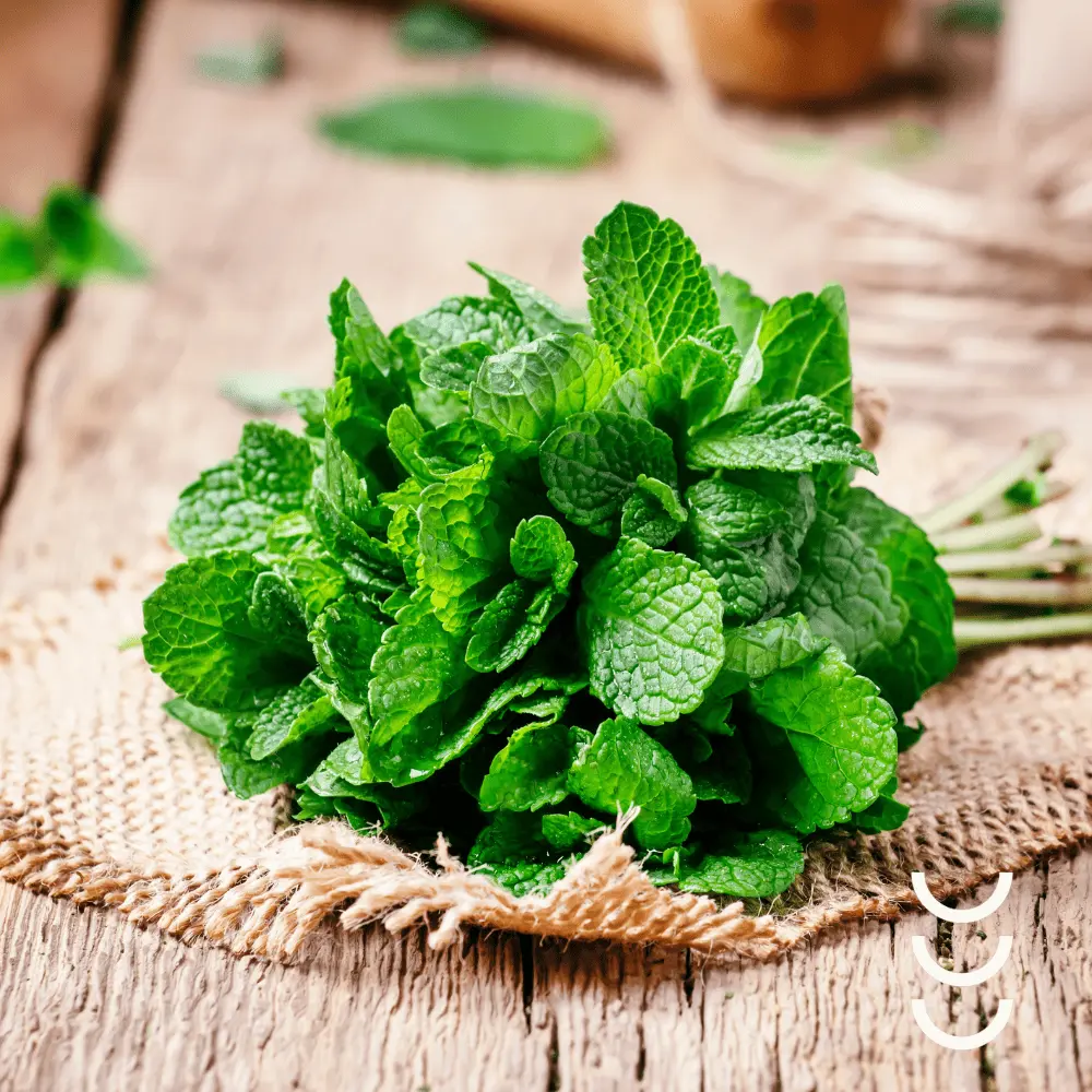 Cukierki Czyszczące Język o Smaku Miętowym - Herbapol — miniatura 3