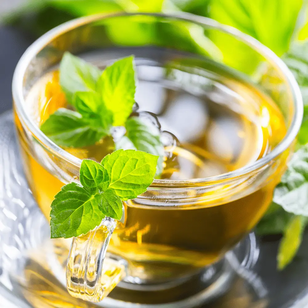 Ecoblik - Mięta pieprzowa EKO 60g — miniatura 4