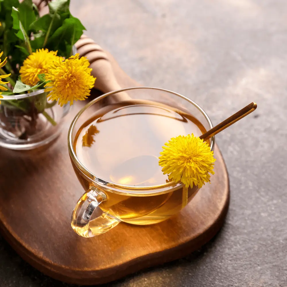 Ecoblik Mniszek lekarski kwiat EKO 40g — miniatura 3