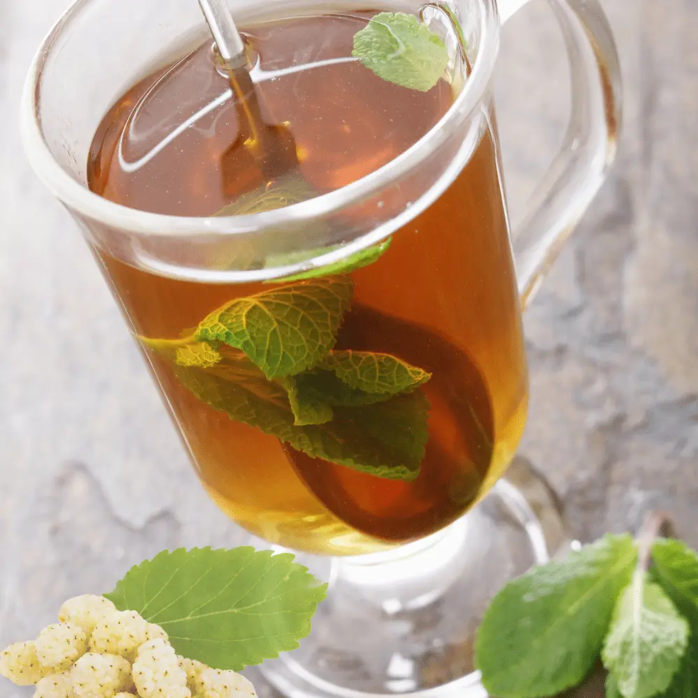 Ecoblik - Morwa biała liść EKO 80g — miniatura 4