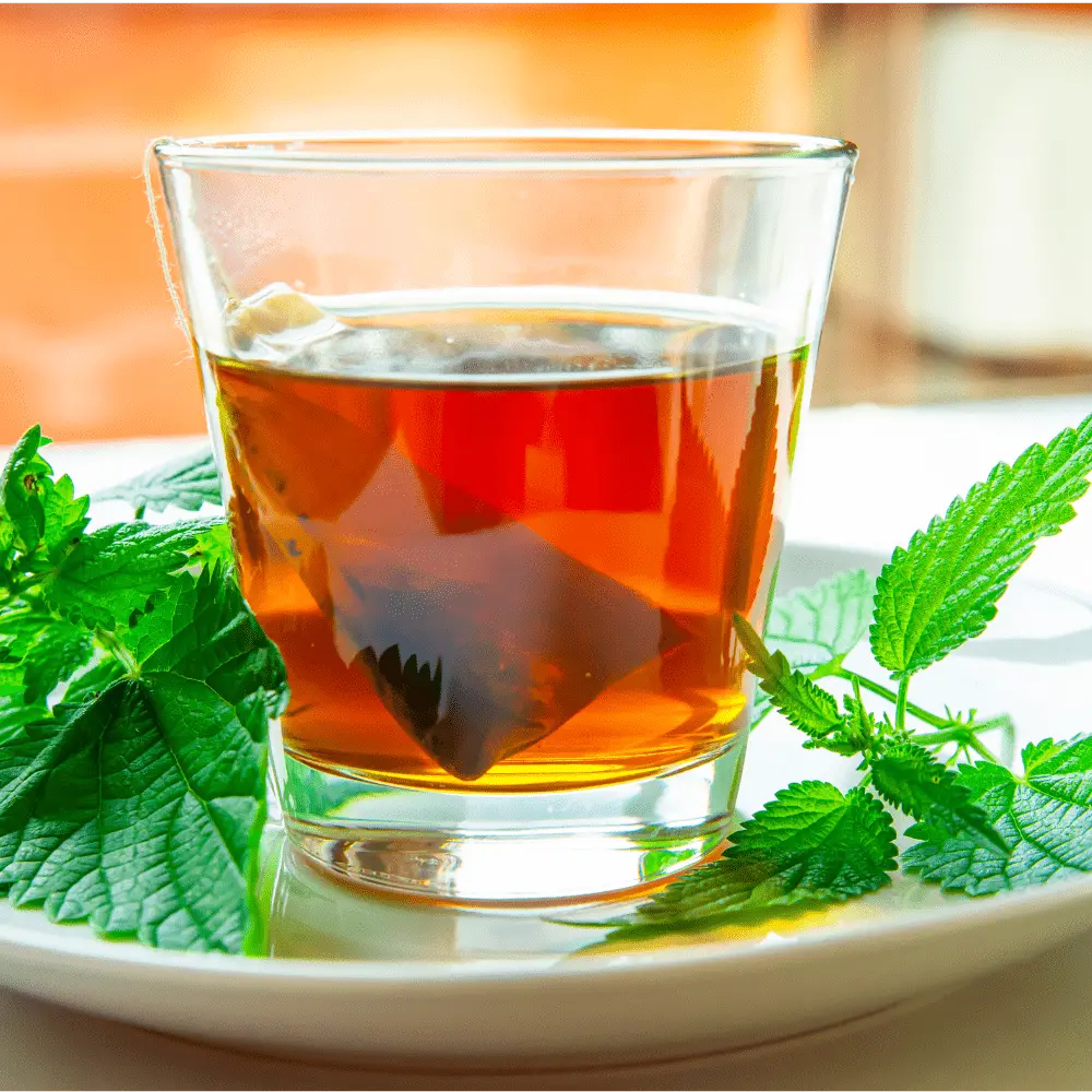 Ecoblik - Pokrzywa EKO 40g — miniatura 4