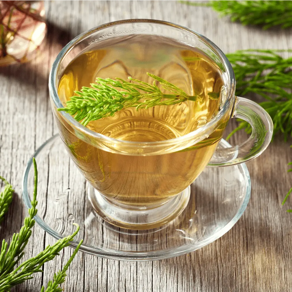 Ecoblik - Skrzyp polny EKO 60g — miniatura 4