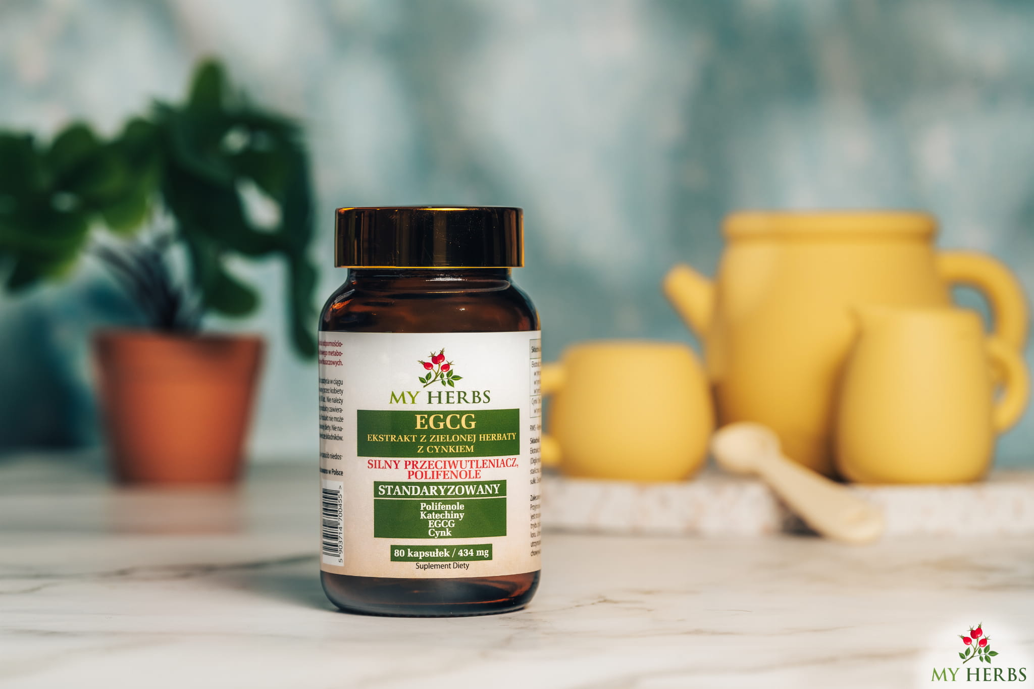 EGCG z Cynkiem Bio Herbs– naturalna energia i ochrona dla Twojego organizmu — miniatura 2