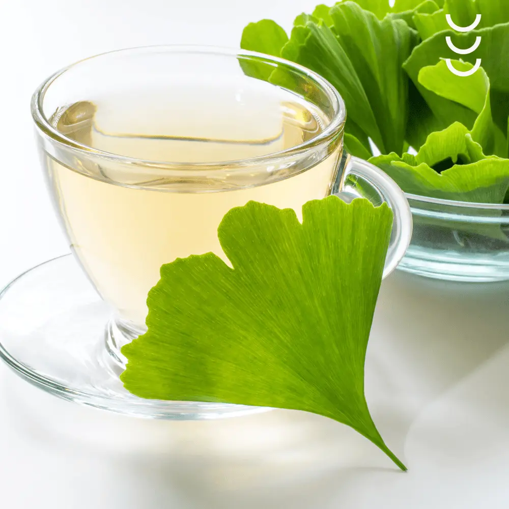 Ginkgo Biloba Premium 120 kapsułek Bio Herbs – moc natury dla Twojego mózgu i serca — miniatura 3