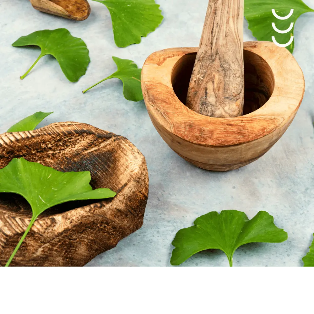 Ginkgo Biloba + Sulforafan  Bio Herbs – odkryj moc roślinnych składników dla Twojego mózgu — miniatura 3