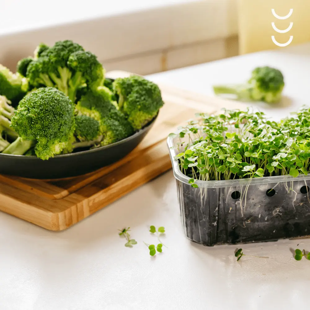 Ginkgo Biloba + Sulforafan  Bio Herbs – odkryj moc roślinnych składników dla Twojego mózgu — miniatura 4