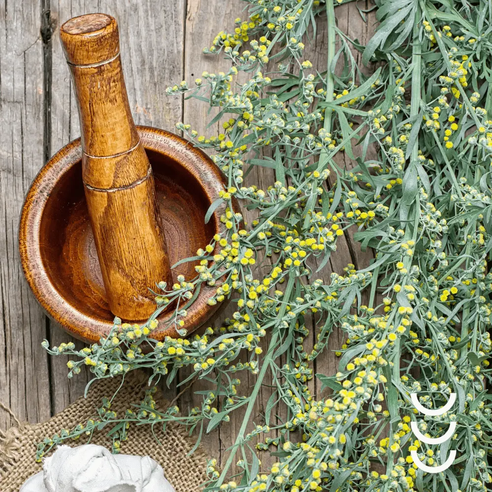 Herbapol ROBAQ 30 tabletek – Naturalne Wsparcie Trawienia i Odporności — miniatura 4