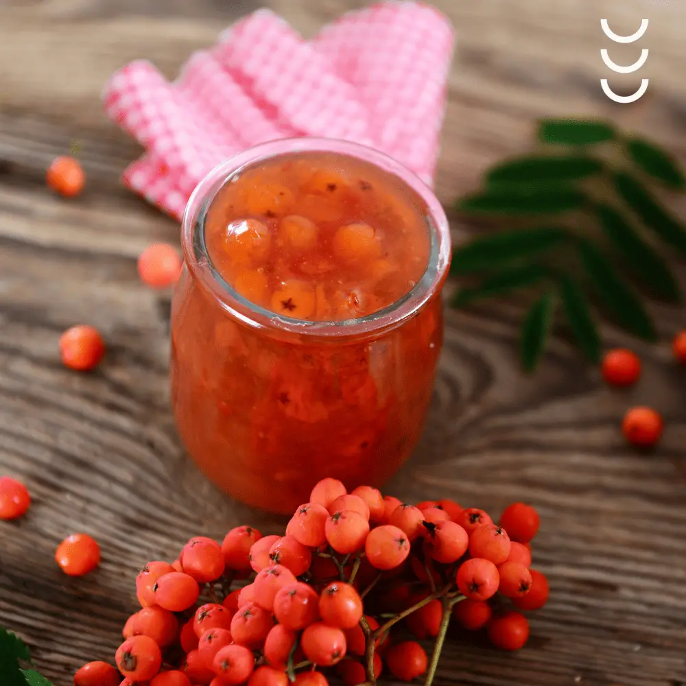 Konfitura z jarzębiny - Ogródek Dziadunia — miniatura 3