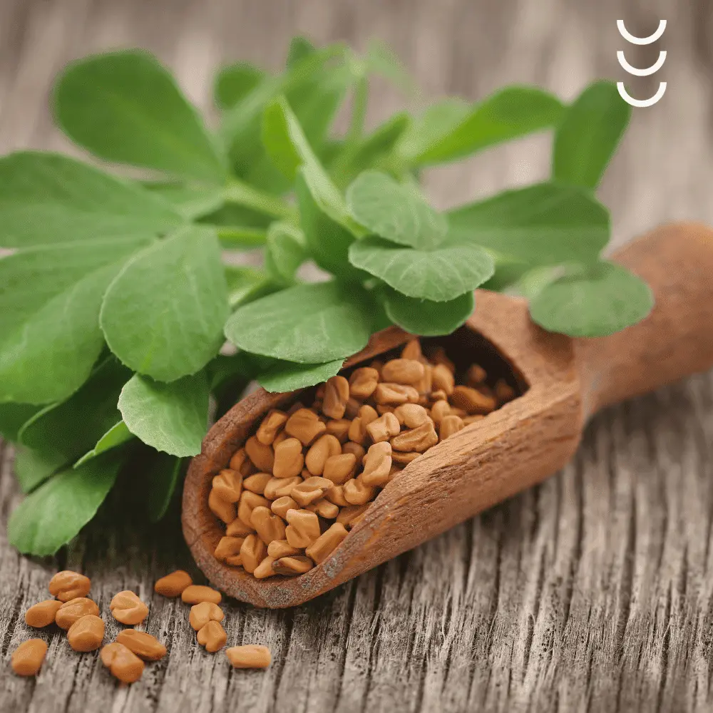 Kozieradka Bio Herbs 600 mg 80 kapsułek — miniatura 4