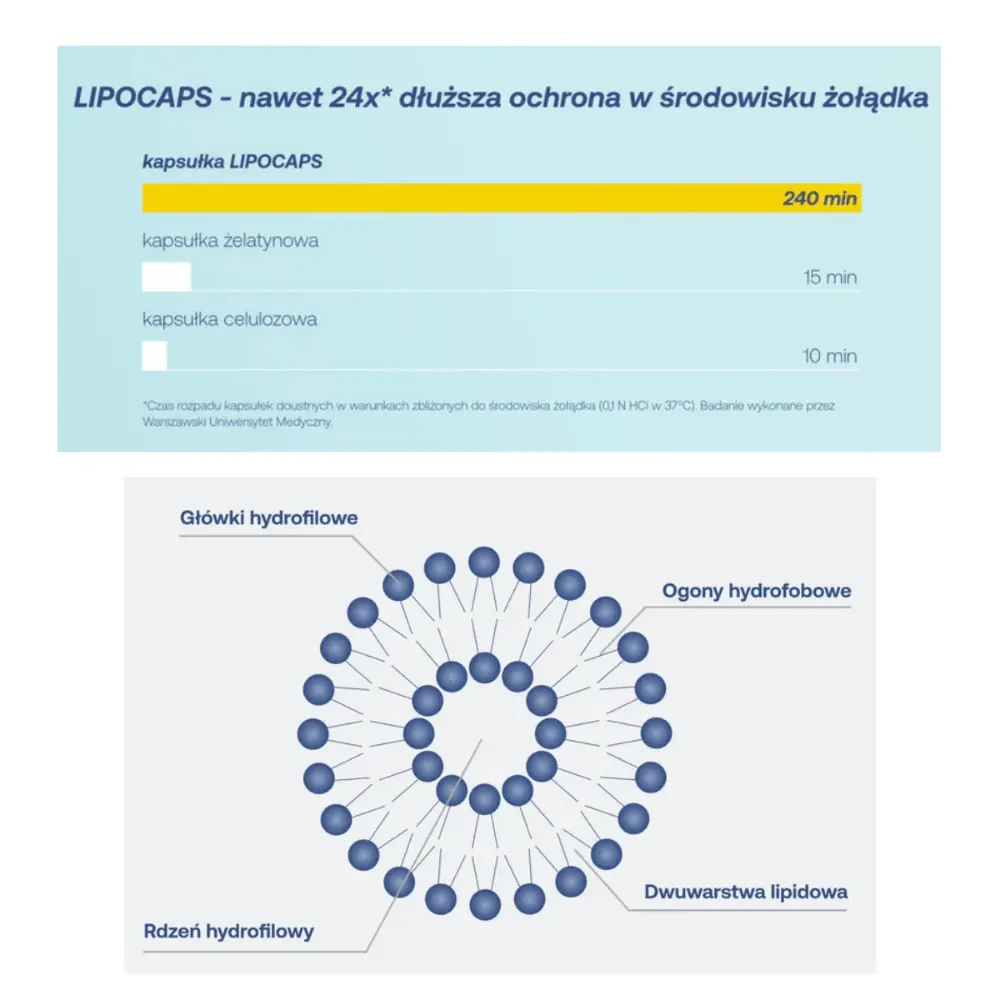 Lipocaps  C 1000 od Formeds — miniatura 3