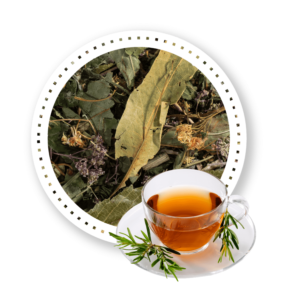 Mieszanka Ziołowa Oskrzelowa — miniatura 2