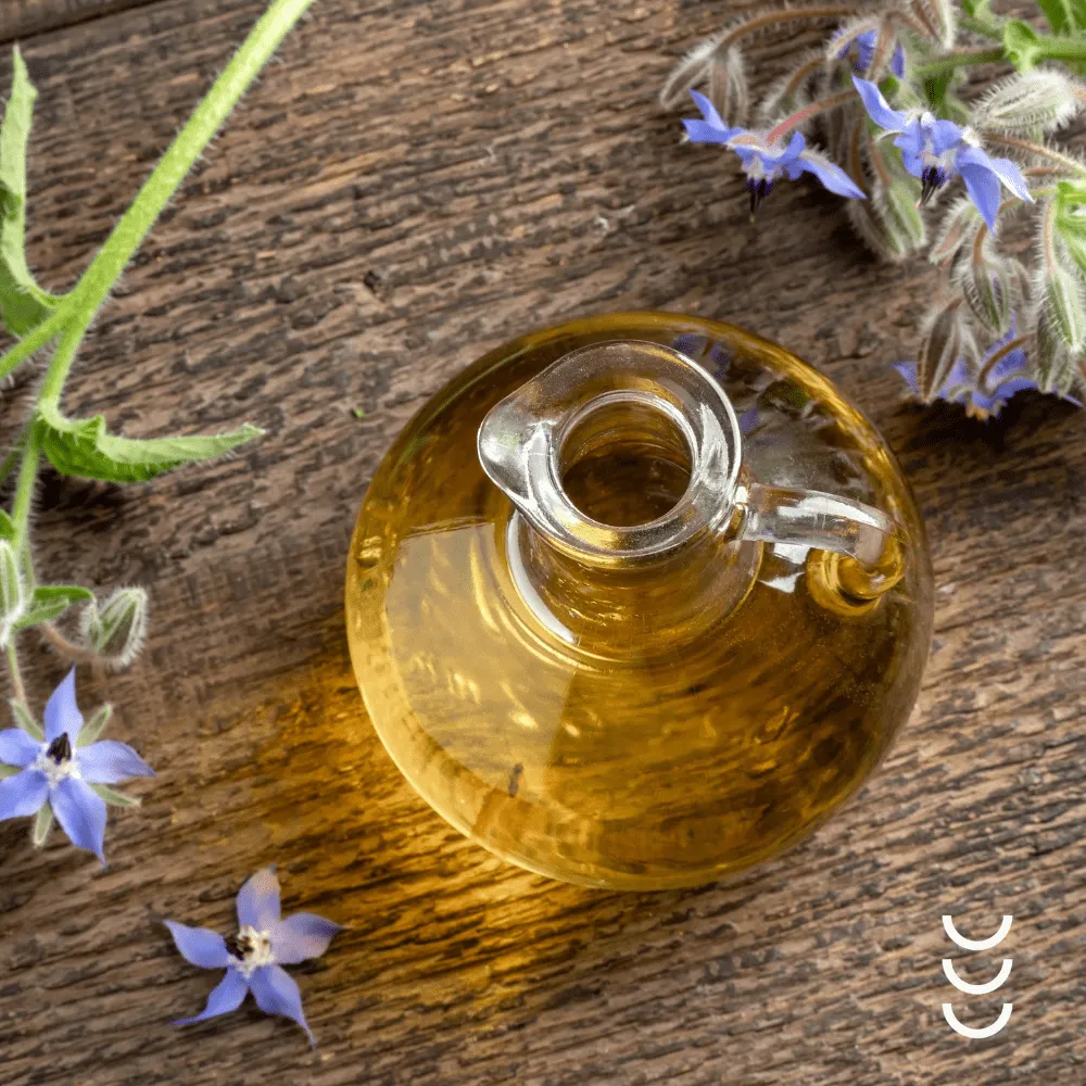 Olej z Ogórecznika Lekarskiego Zielony Olej  naturalne wsparcie dla Twojej skóry i stawów — miniatura 3