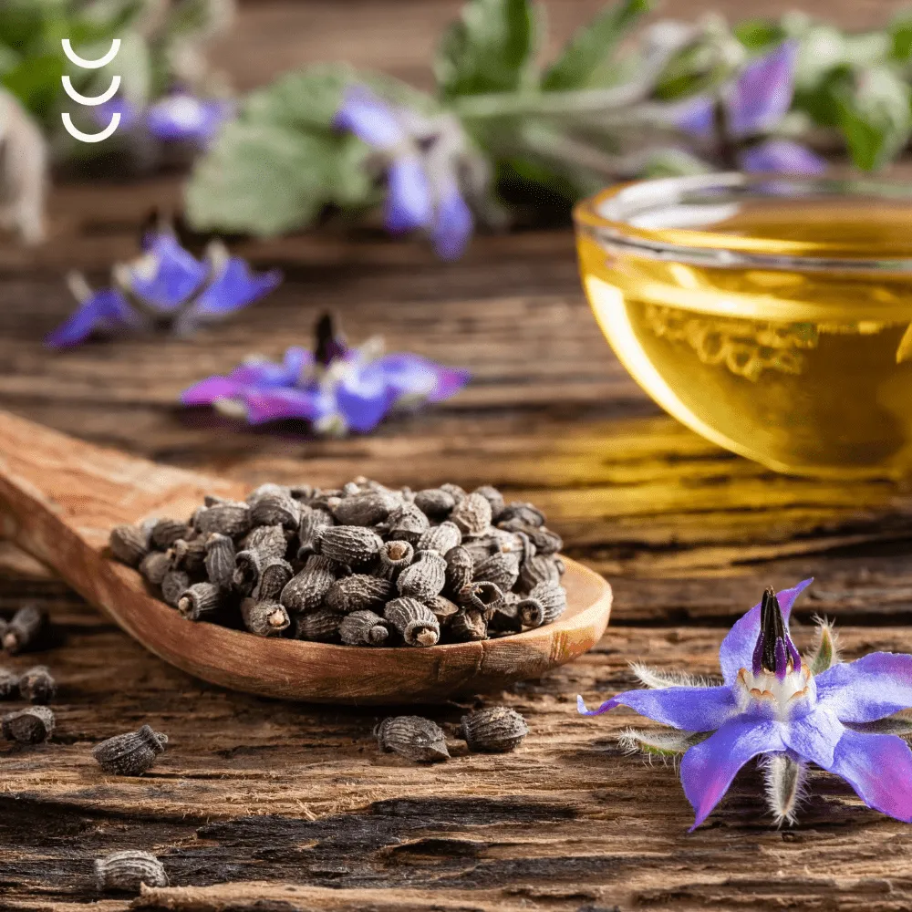 Olej z Ogórecznika Lekarskiego Zielony Olej  naturalne wsparcie dla Twojej skóry i stawów — miniatura 4