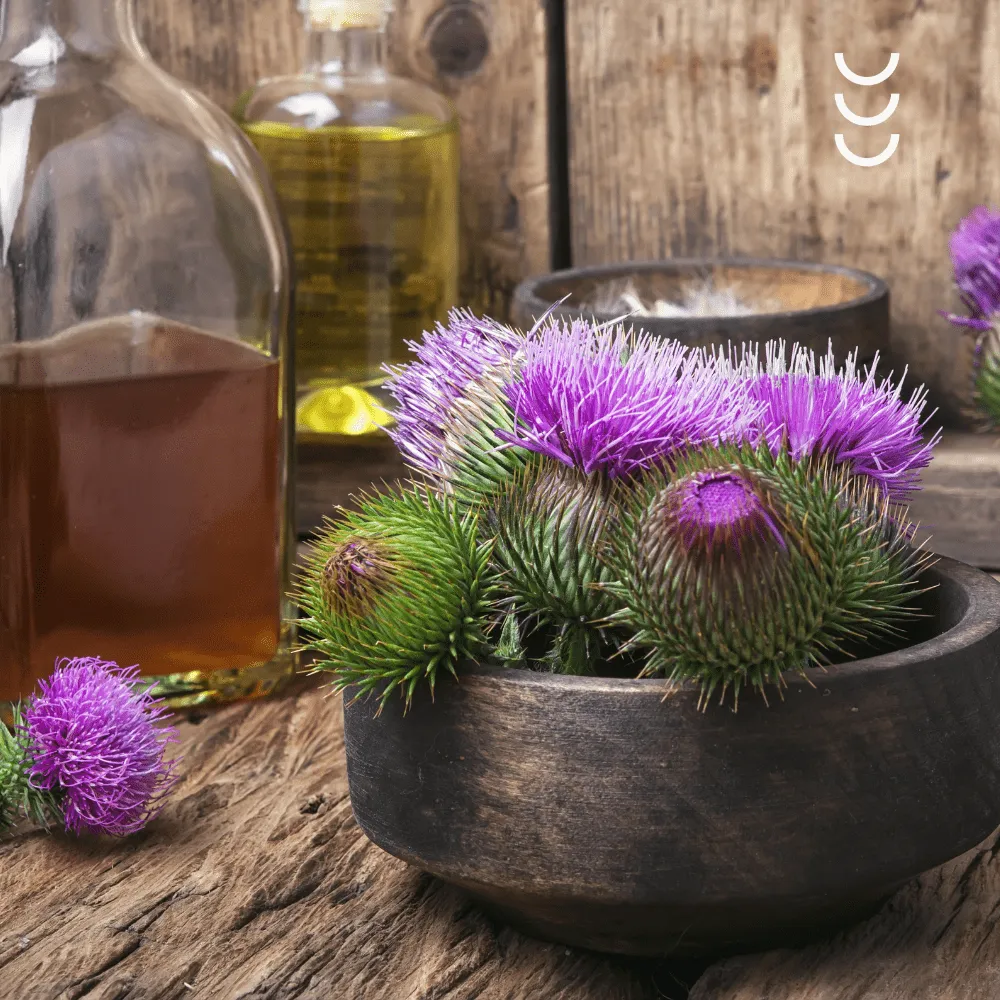 Olej z Ostropestu Zielony Olej – naturalna ochrona dla wątroby — miniatura 2