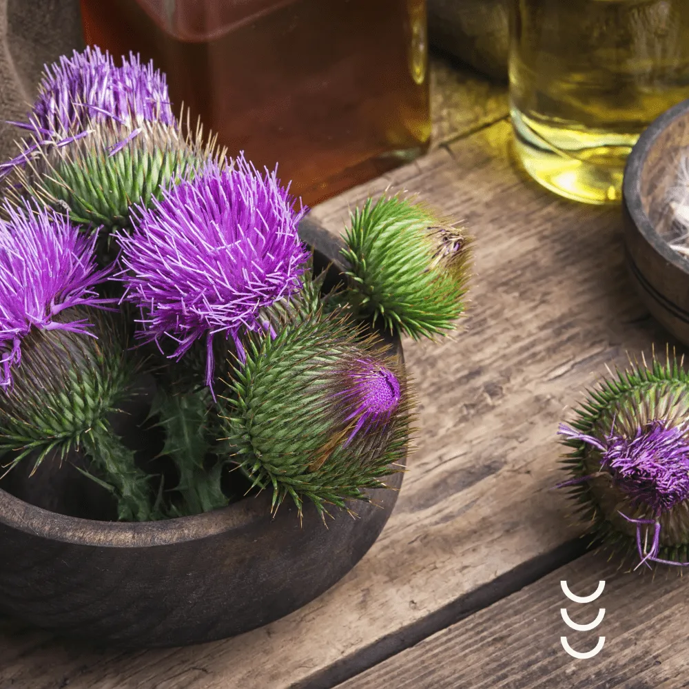 Olej z Ostropestu Zielony Olej – naturalna ochrona dla wątroby — miniatura 3