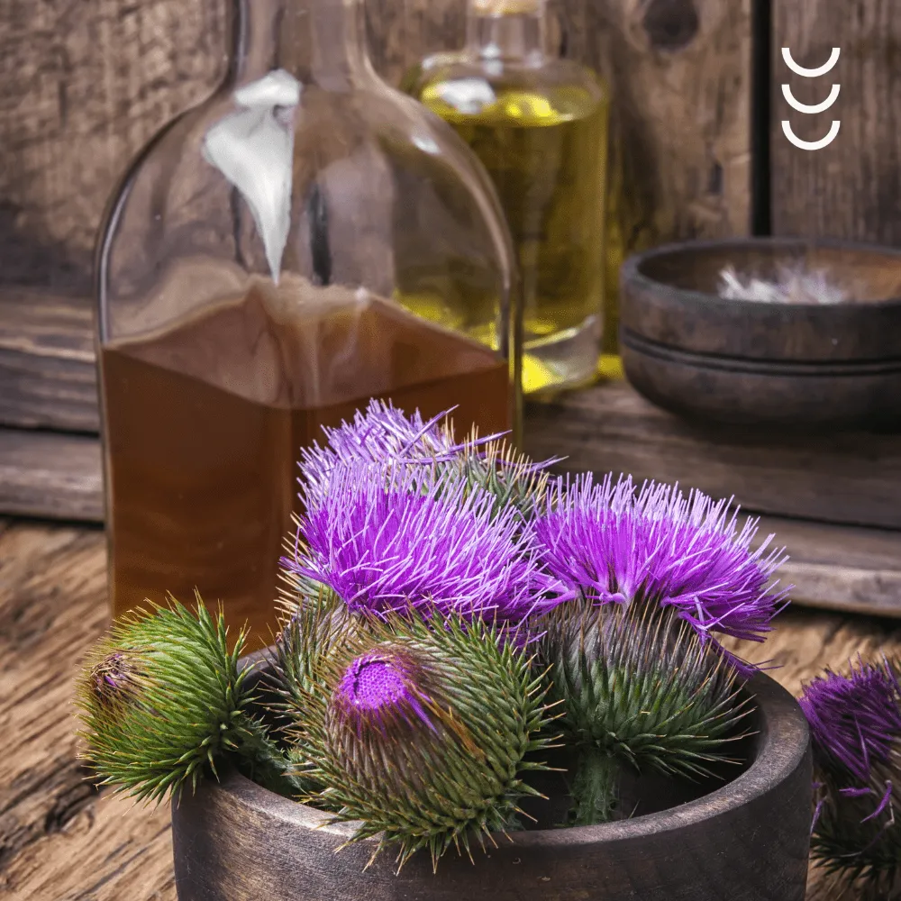 Olej z Ostropestu Zielony Olej – naturalna ochrona dla wątroby — miniatura 4