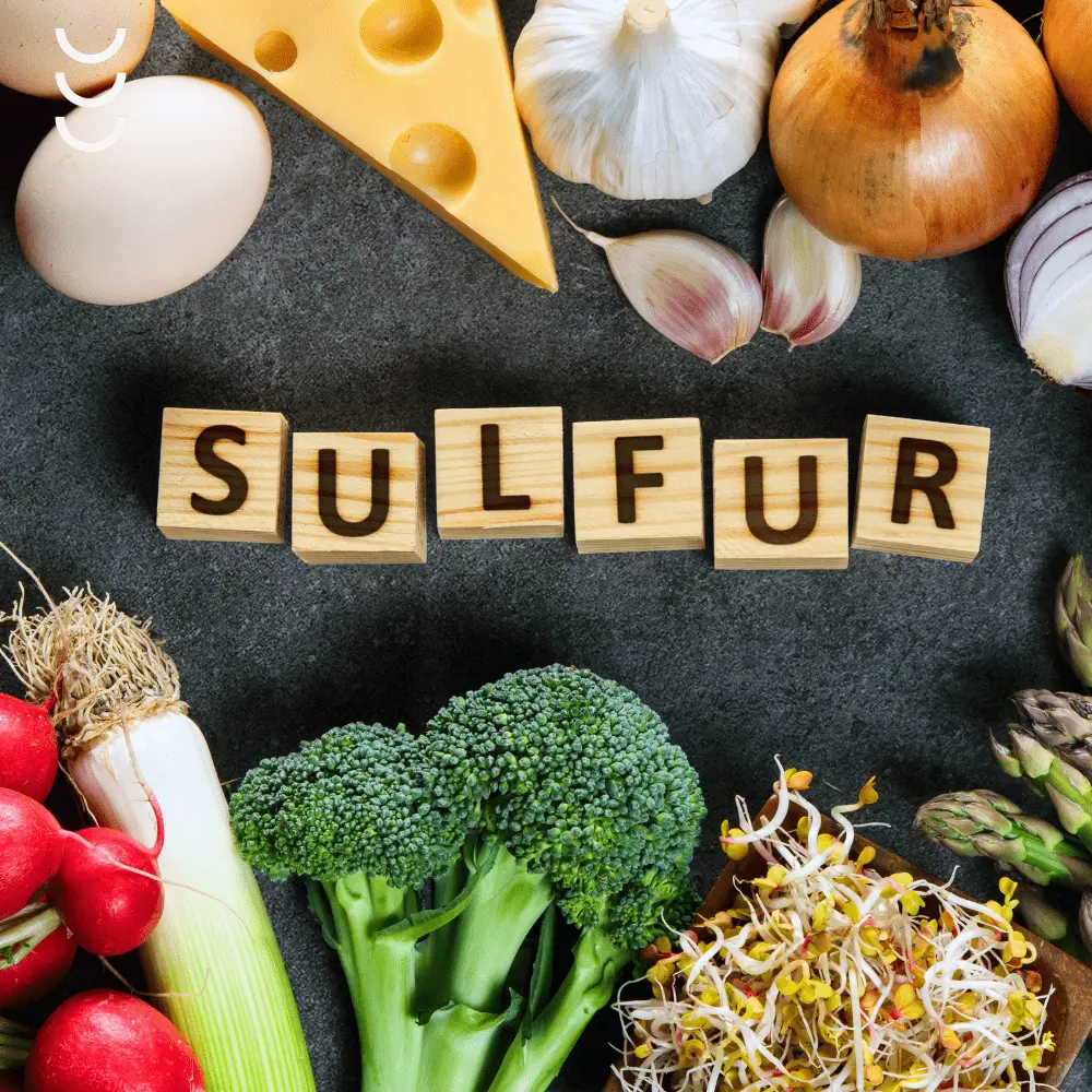 Powder MSM od Formeds — miniatura 3