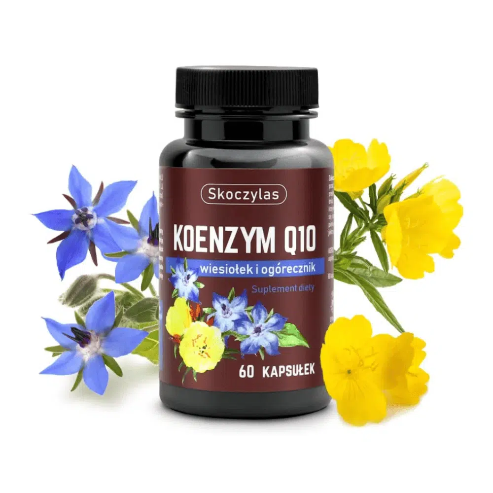 SOCZYLAS Koenzym Q10 100mg z Wiesiołkiem i Ogórecznikiem - 60 kapsułek - Ubichinon -Energia i Zdrowe Serce — miniatura 2