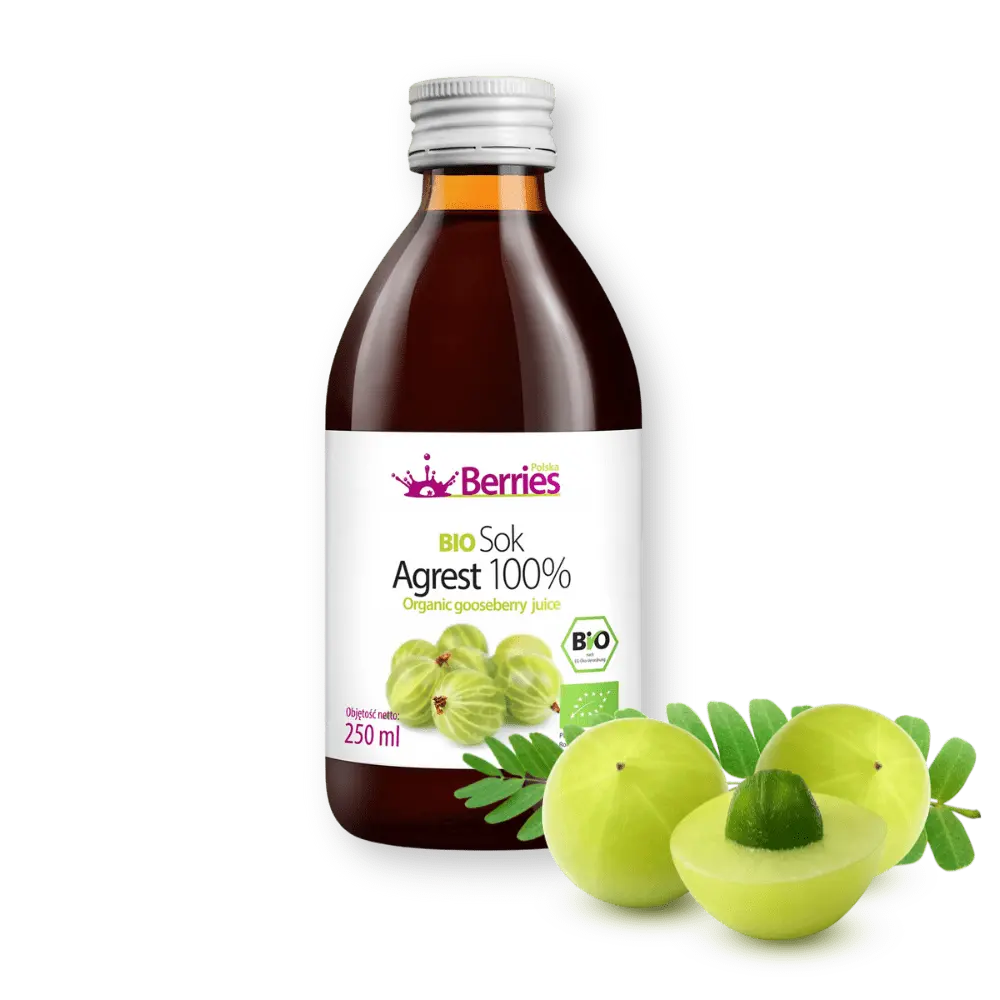 Sok Bio Agrest - Sam agrest i nic ponadto! — miniatura 2