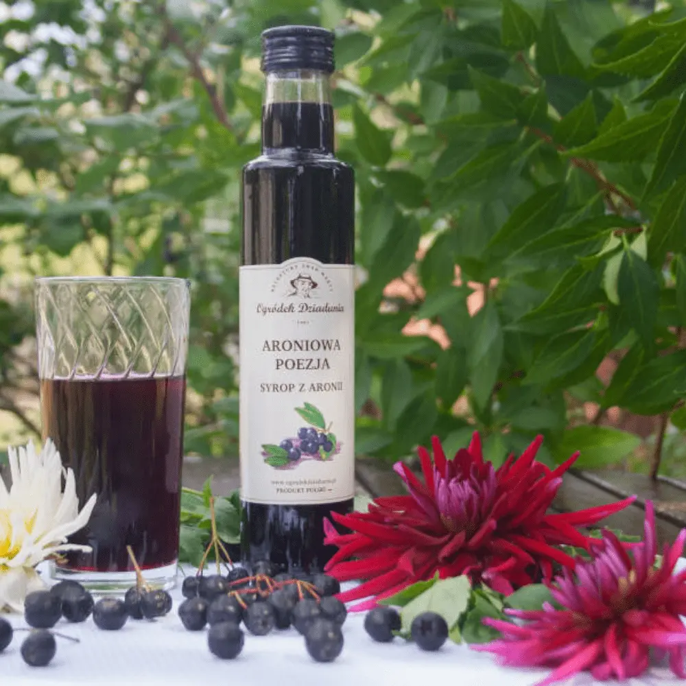 Syrop z Aronii - Aroniowa Poezja - Naturalny syrop owocowy z polskich owoców (315 g) — miniatura 3