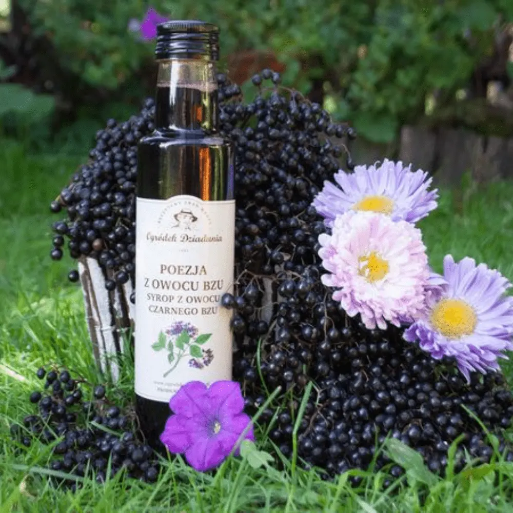 Syrop z Owocu Czarnego Bzu - Poezja z Bzu 315 g - Ukojenie dla duszy i ciała z natury — miniatura 3