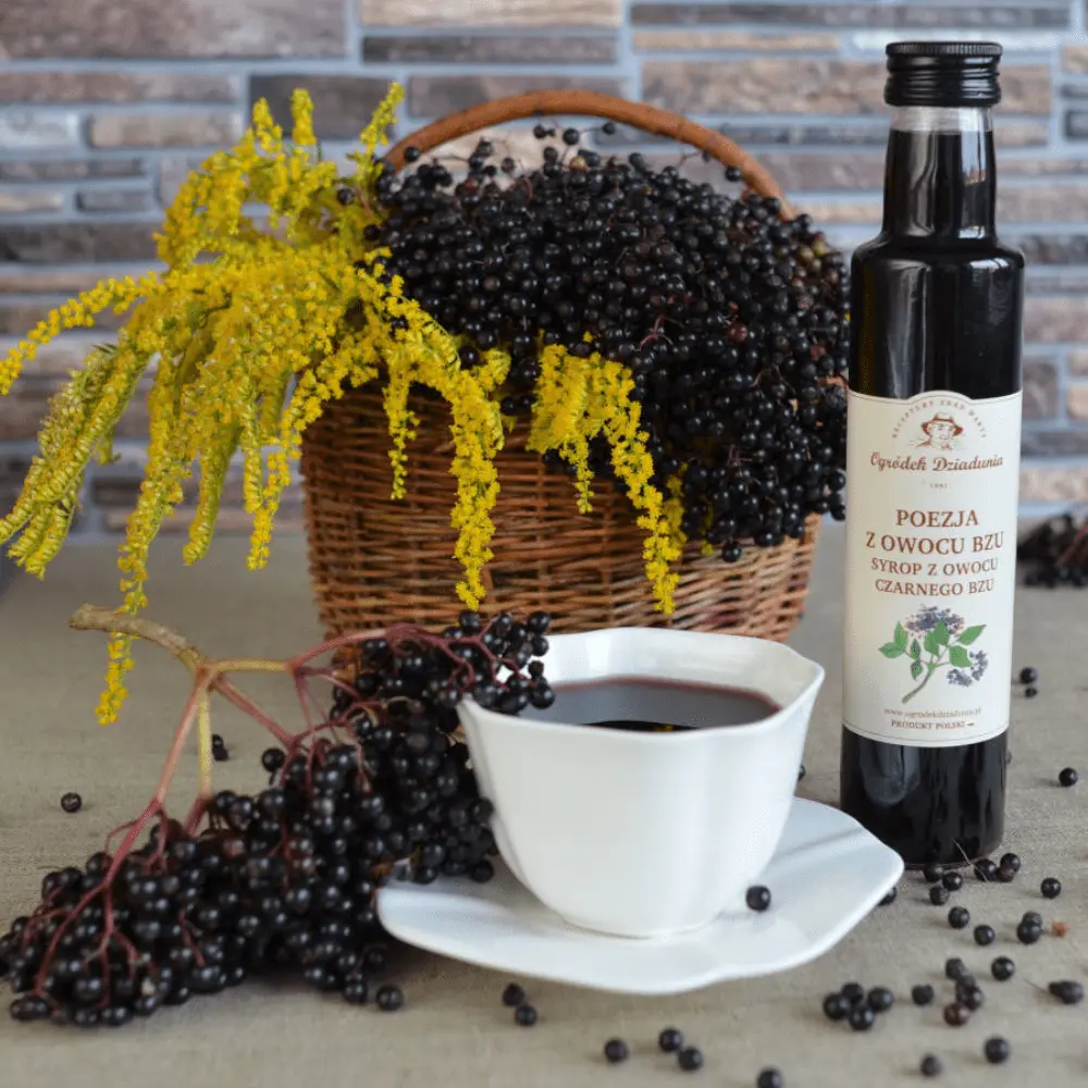 Syrop z Owocu Czarnego Bzu - Poezja z Bzu 315 g - Ukojenie dla duszy i ciała z natury — miniatura 4